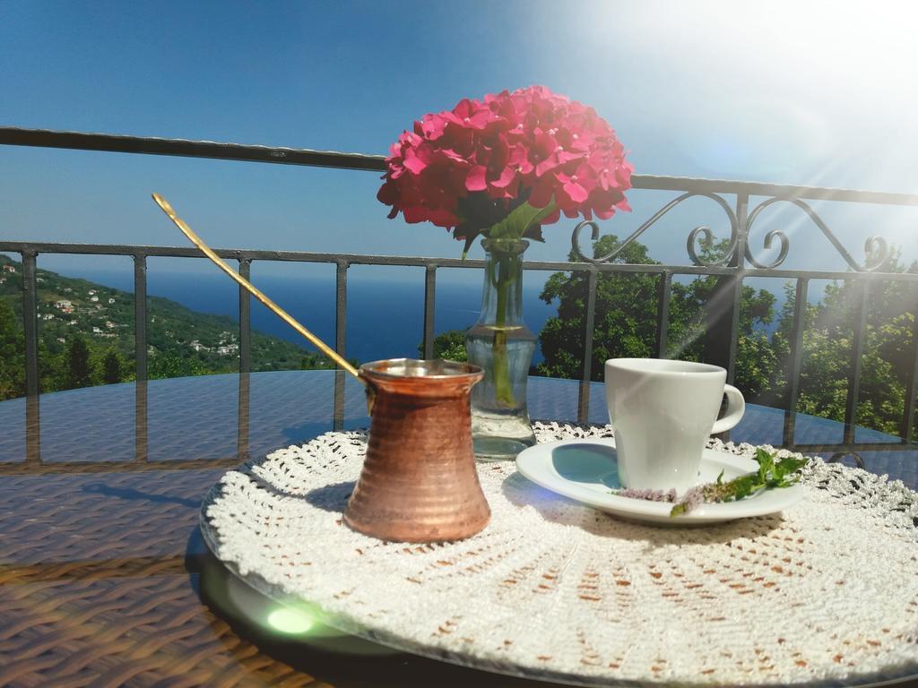 Hotel Aroma Piliou - Άρωμα Πηλίου Mourésion Zewnętrze zdjęcie